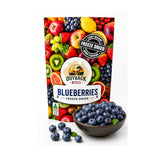 Outback Bites freeze-dried blueberries 40g pouch