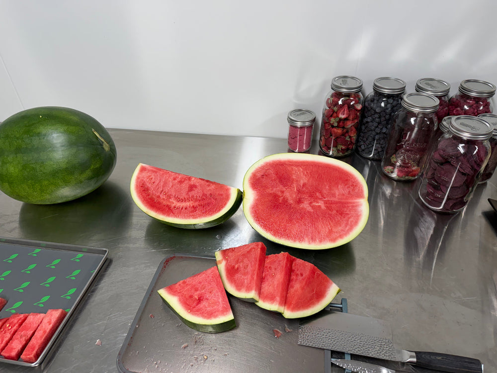 Freeze-dried watermelon pieces from Outback Bites
