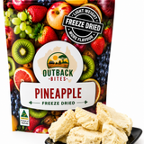 Outback Bites Freeze-Dried Pineapple pack
