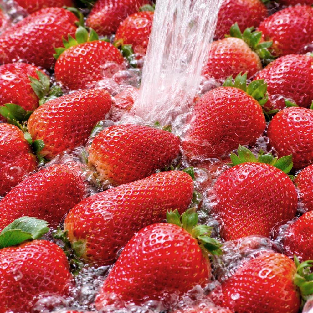 Fresh red strawberries being washed by a stream of water